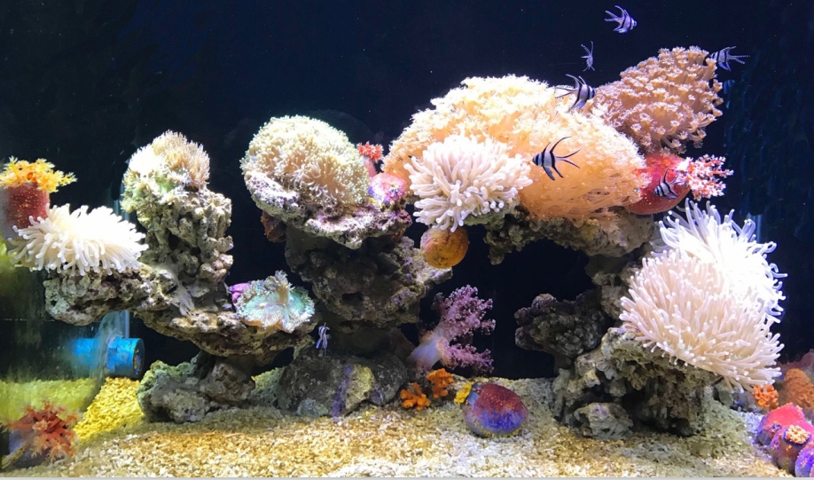 贵州遵义奥特莱斯 ”海洋馆照明“